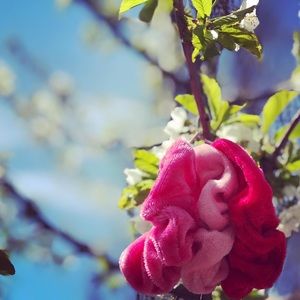 Pink scrunches!!!